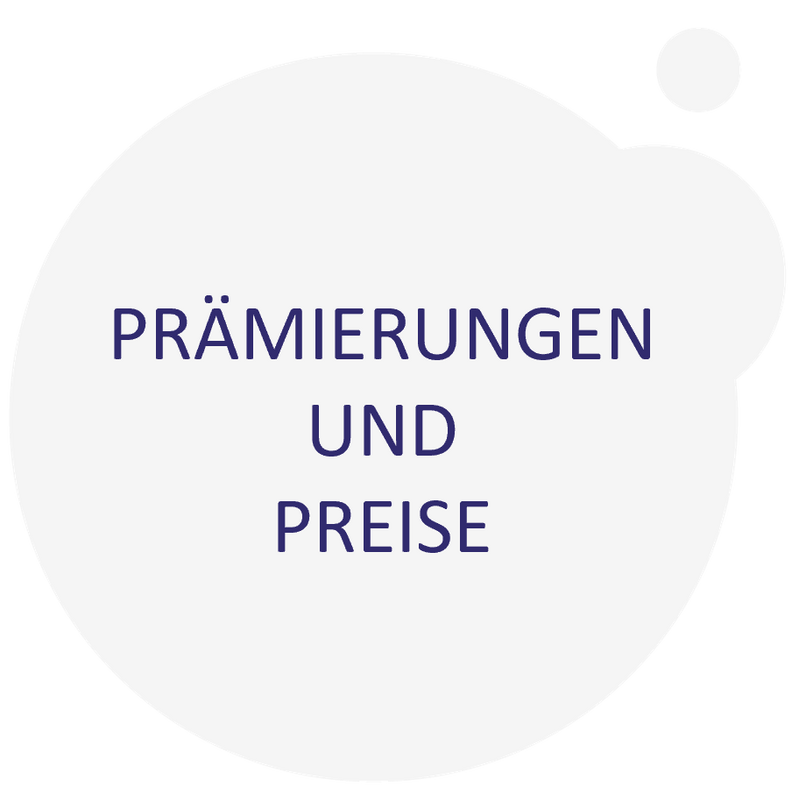 Grauer Farbklecks: Prämierungen und Preise