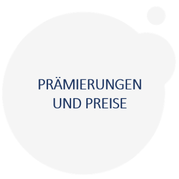 Grauer Farbklecks: Prämierungen und Preise